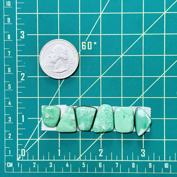 Small Mint Green Mixed Lucid Variscite, Set of 6 Dimensions