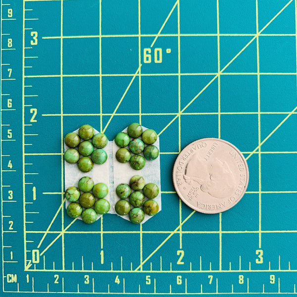 Small Lime Green Round Sonoran Gold, Set of 28 Dimensions