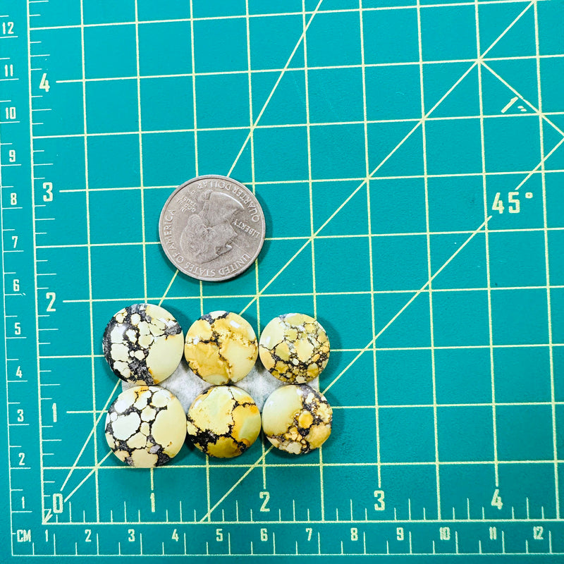 Medium Yellow Round Treasure Mountain Turquoise, Set of 6 Dimensions