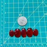 Medium Red Oval Rosarita, Set of 5 Dimensions
