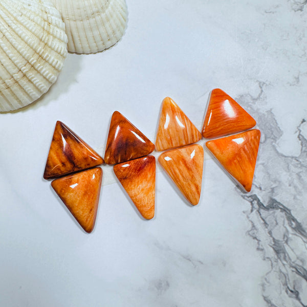 Large Royal Orange Triangle Spiny Oyster, Set of 8 Background