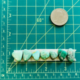 Small Mint Green Mixed Broken Arrow Variscite, Set of 7 Dimensions