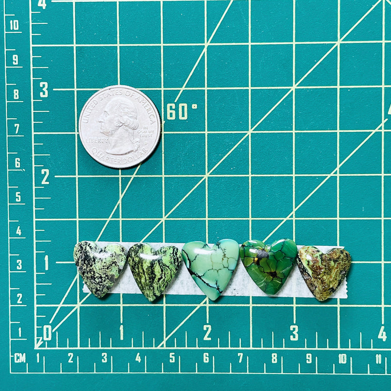 Medium Sea Green Heart Yungai Turquoise, Set of 5 Dimensions