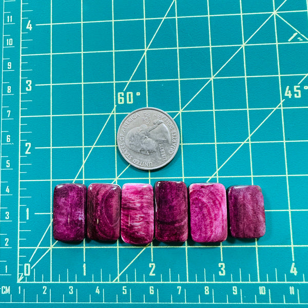 Medium Purple Bar Spiny Oyster, Set of 6 Dimensions