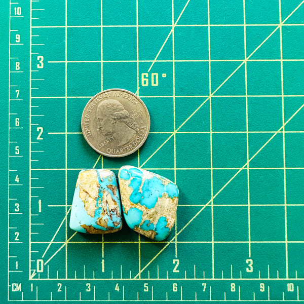 Large Sky Blue Freeform Royston Turquoise, Set of 2 Dimensions