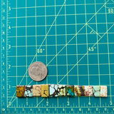 Small Mixed Bar Mixed Turquoise, Set of 11 Dimensions