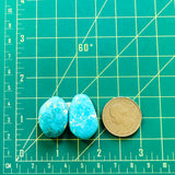 Large Sky Blue Freeform Royston Turquoise, Set of 2 Dimensions