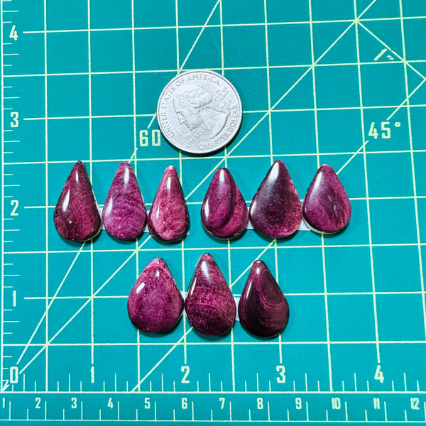 Medium Purple Teardrop Spiny Oyster, Set of 9 Dimensions