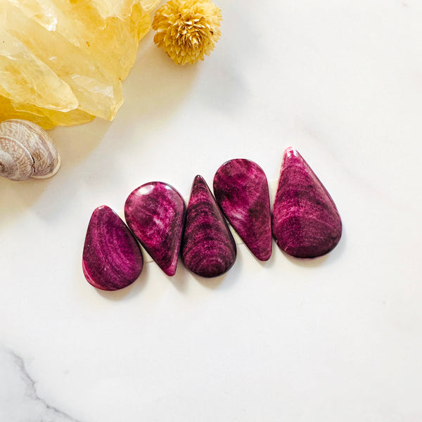 Medium Purple Teardrop Spiny Oyster, Set of 5 Background